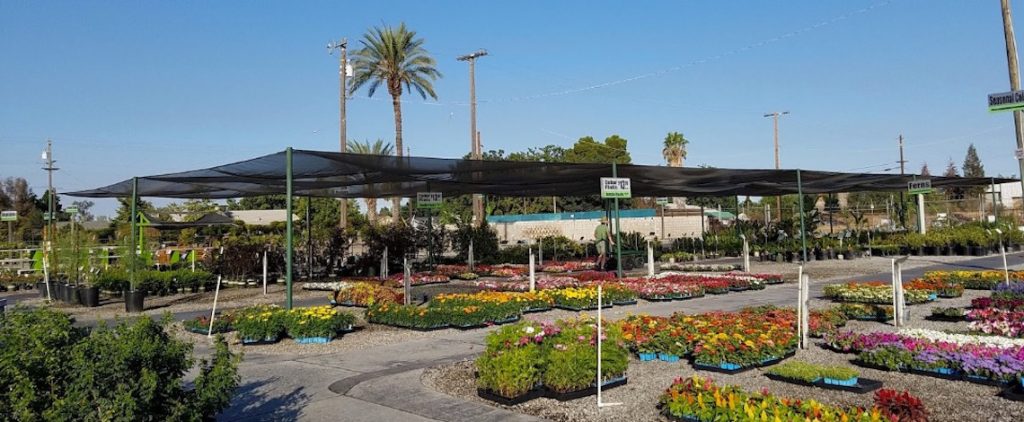 riverside nursery