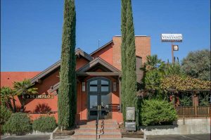 vineyard restaurant