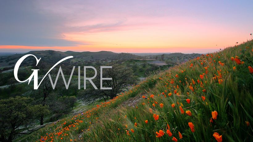 gvwire logo