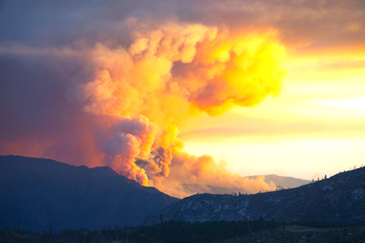 ferguson fire