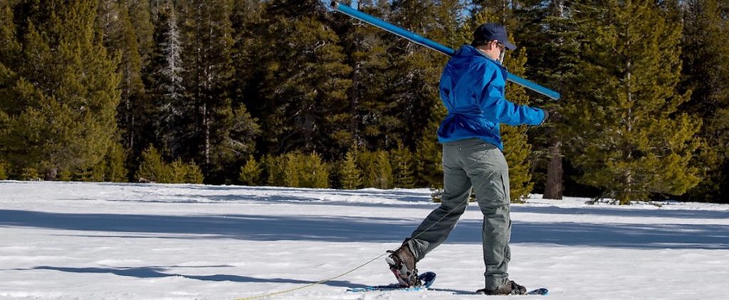 snow survey