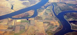 river delta