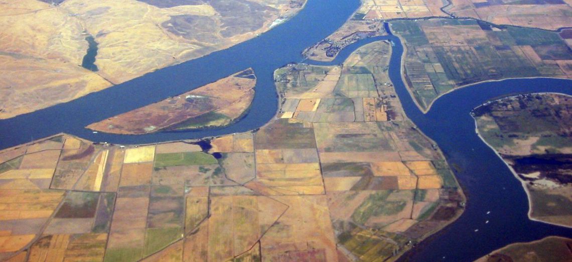 river delta