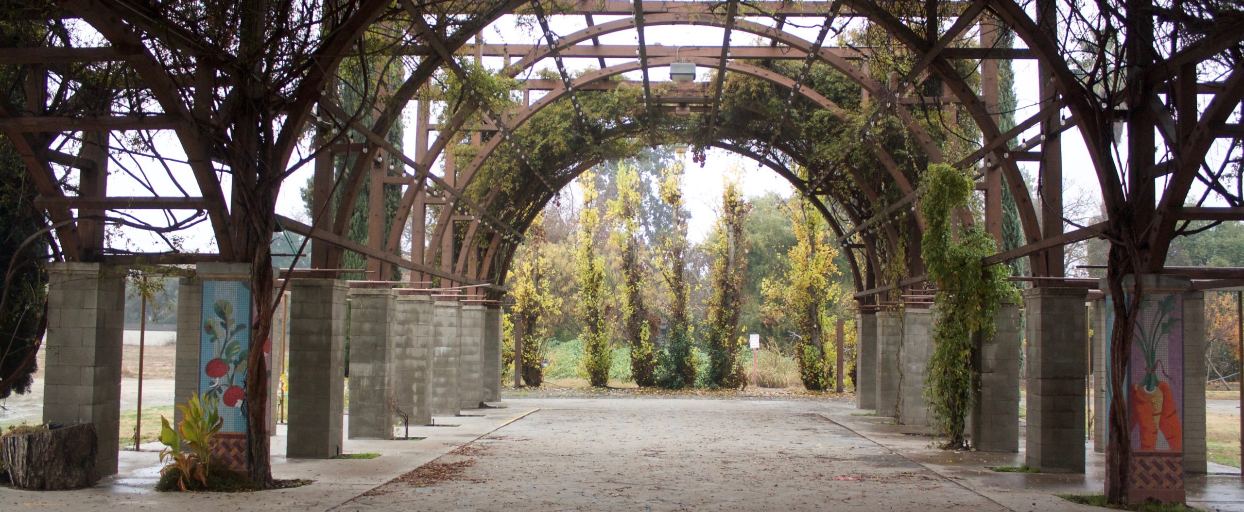 Major development coming to Fresno’s Blackstone and Shaw intersection