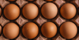 eggs