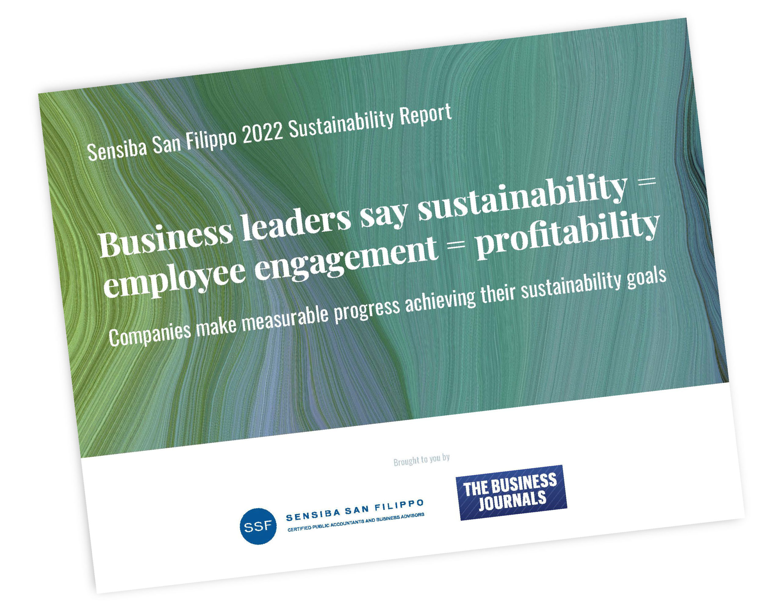 SPONSORED: 2022 Sustainability In Business Report - The Business Journal