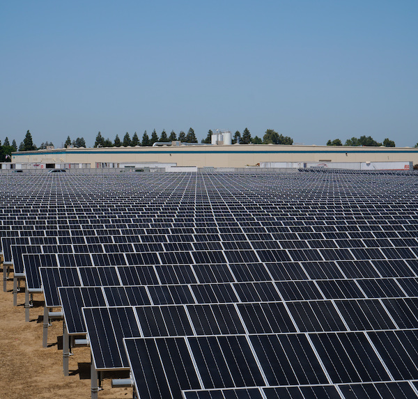 sealed air solar