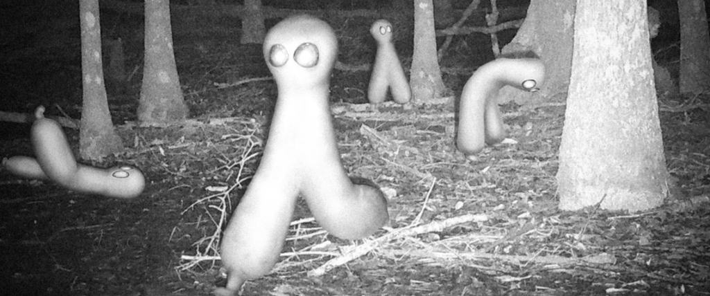Cute Nightcrawlers