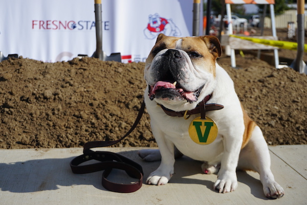 Victor E. Bulldog IV