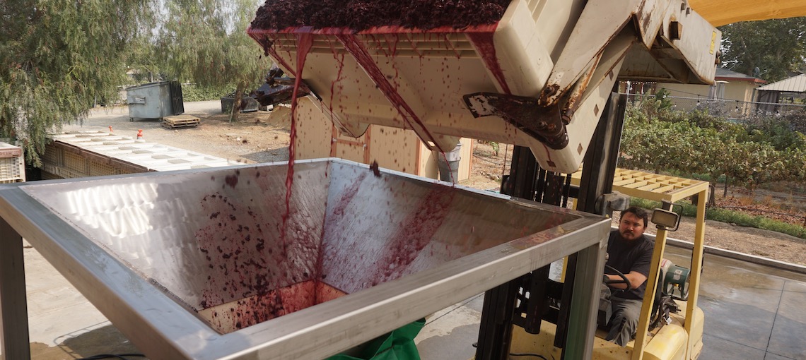 wine grape processing