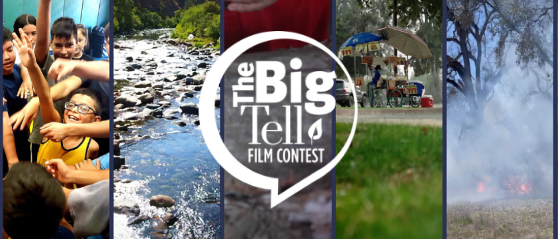 The Big Tell graphic