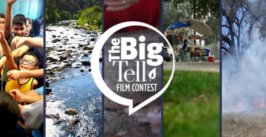 The Big Tell graphic