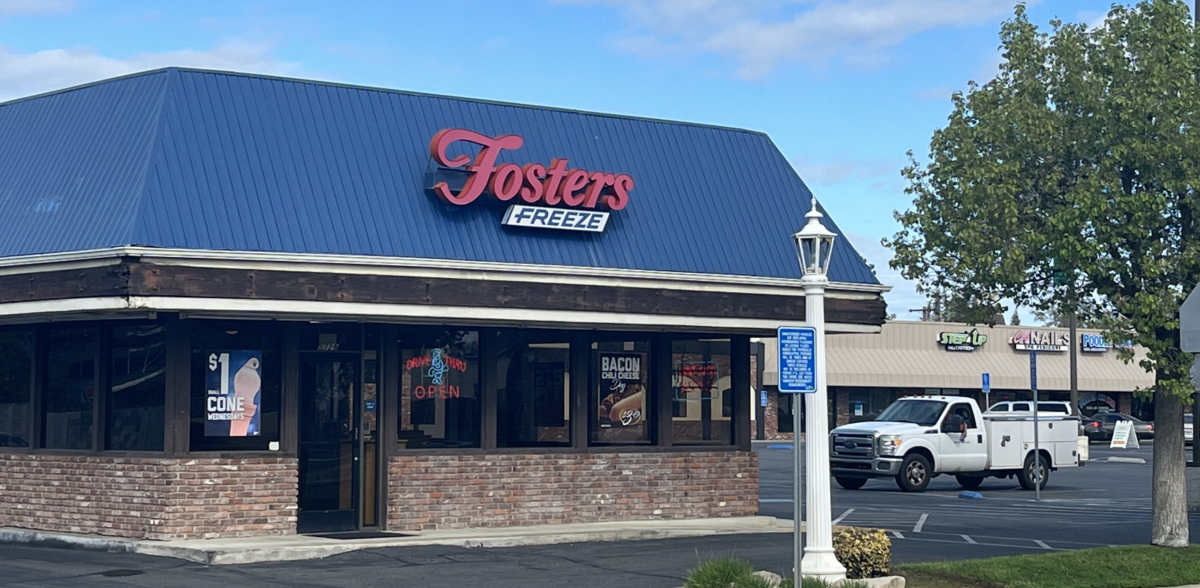 fosters freeze