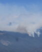 redwood fire