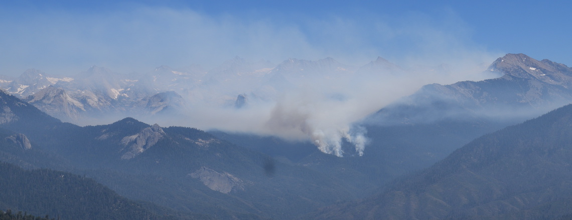 redwood fire