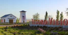 Tesoro Viejo Entry