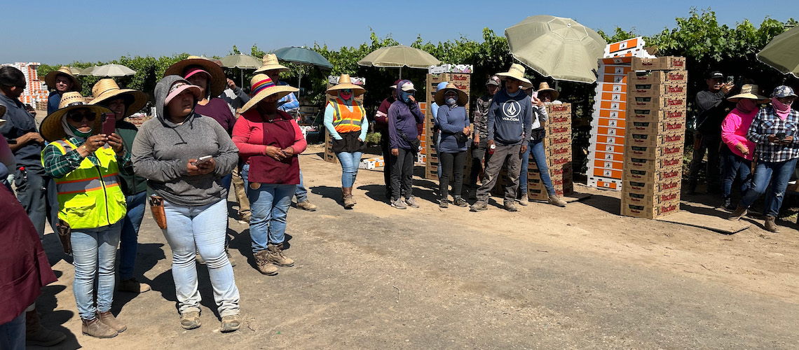 farmworkers