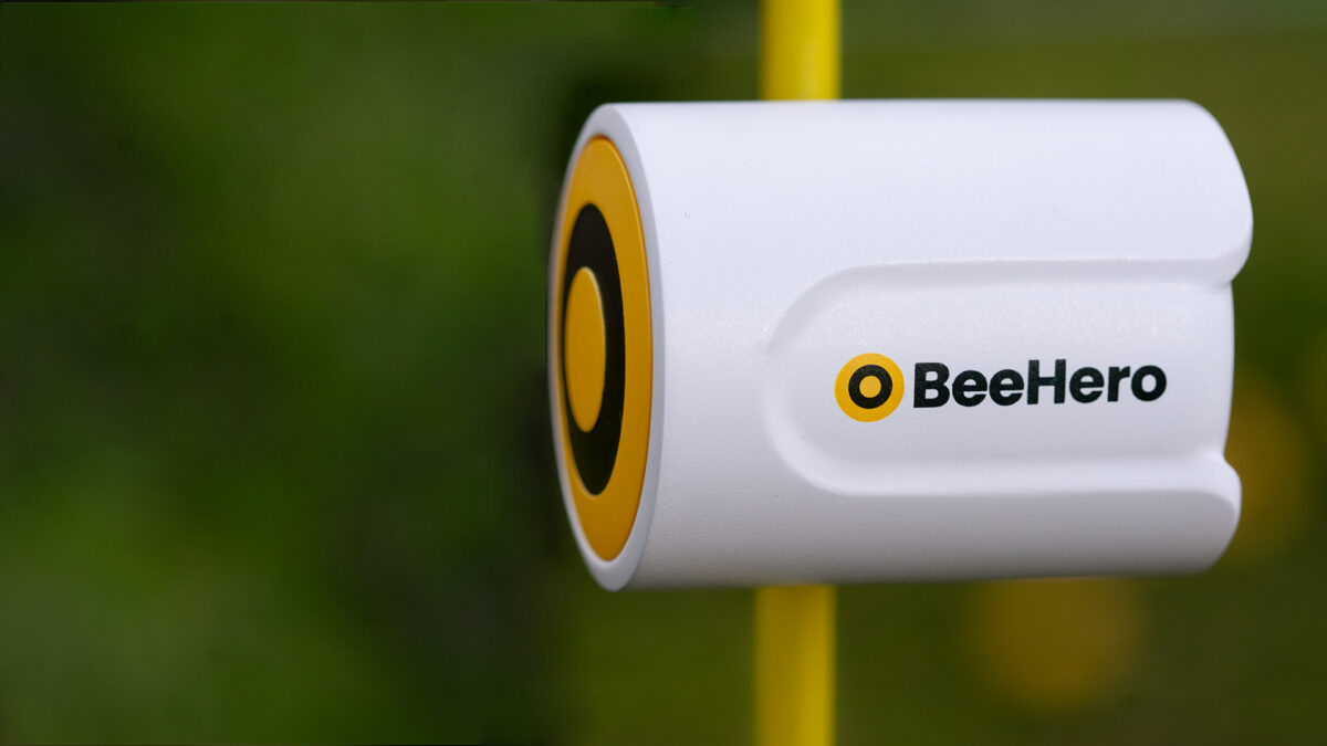 bee sensor