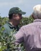 men standing in blueberry field