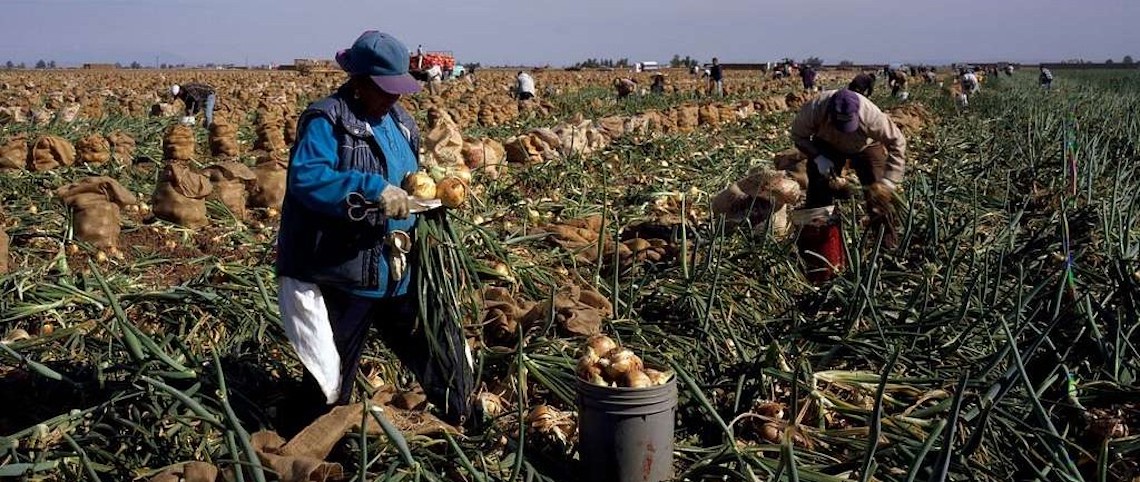 farmworkers