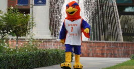 person in a sunbird mascot suit