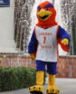 person in a sunbird mascot suit