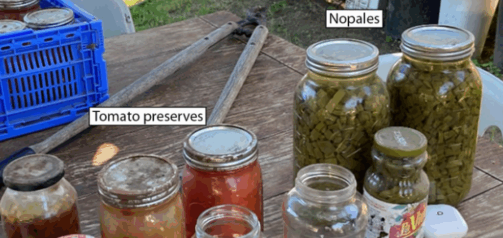 preserved vegetables on a table