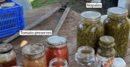 preserved vegetables on a table