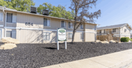 elm tree apartments