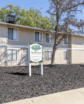 elm tree apartments