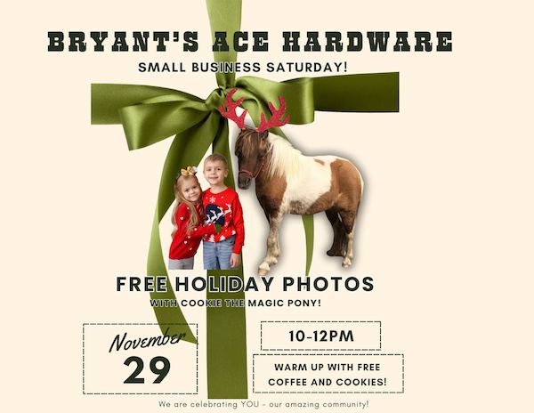 flyer with a mini pony