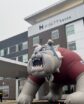 a four-story hotel building with a large inflatable bulldog in front of it