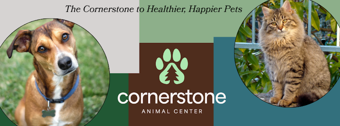 dog and cat flyer for cornerstone