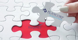 jigsaw puzzle pieces