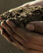 man cupping his hands full of dirt