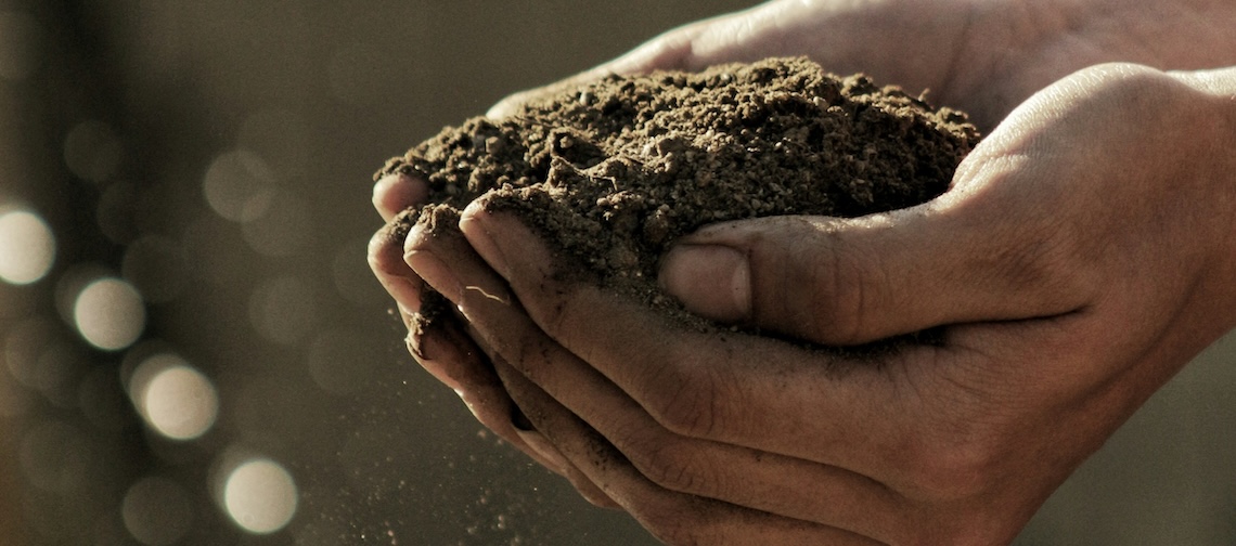 man cupping his hands full of dirt