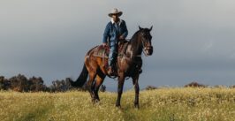 woman on horseback in a green field