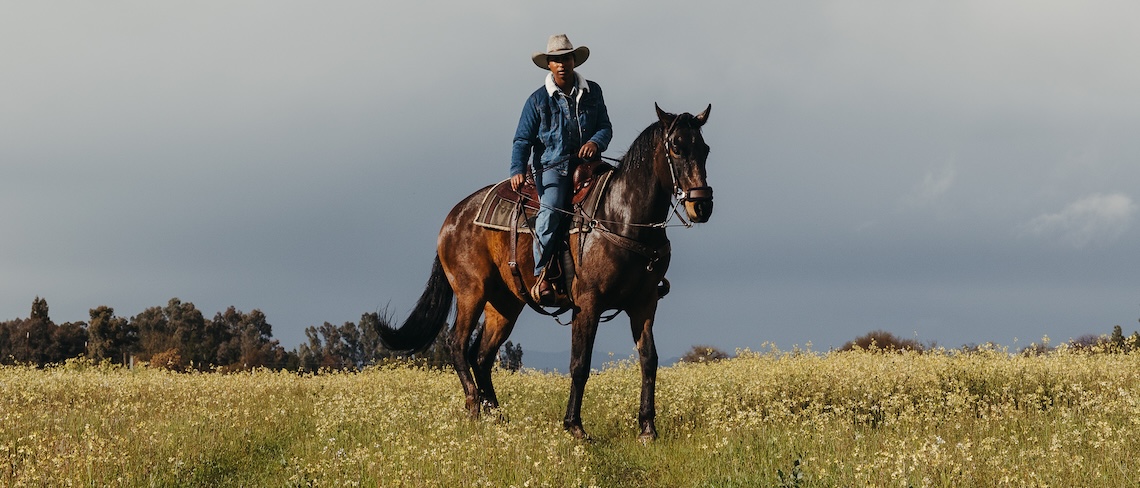woman on horseback in a green field