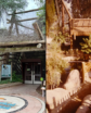 zoo scenes