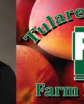 woman's headshot and then a logo with a fruit background