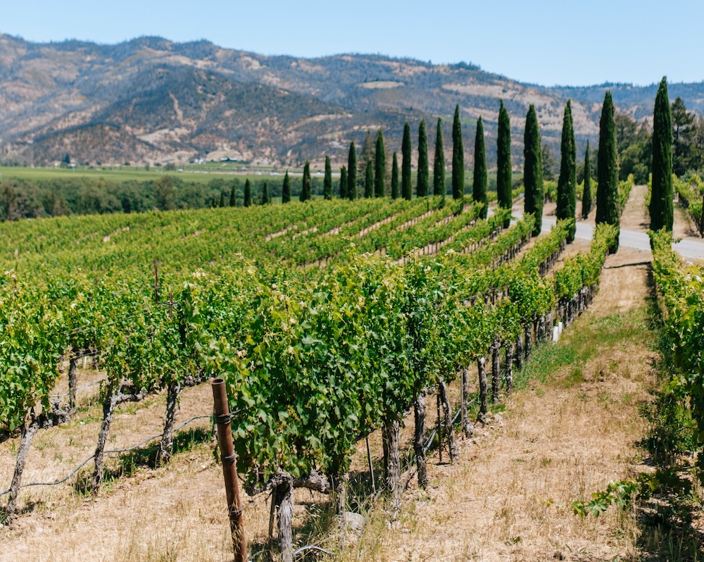 winegrapes
