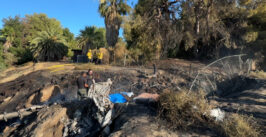 a river embankment with airplane wreckage and first responders