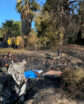 a river embankment with airplane wreckage and first responders