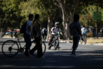 people riding bikes on a college campus