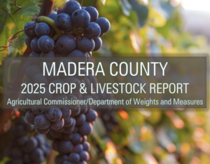 crop report cover