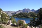 national forest