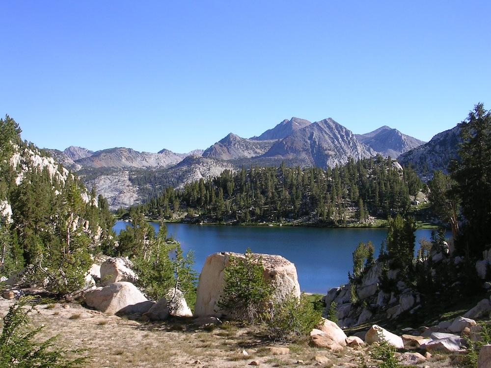national forest