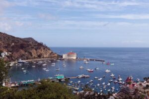 blue harbor